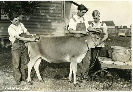 4-H Dairy 1928